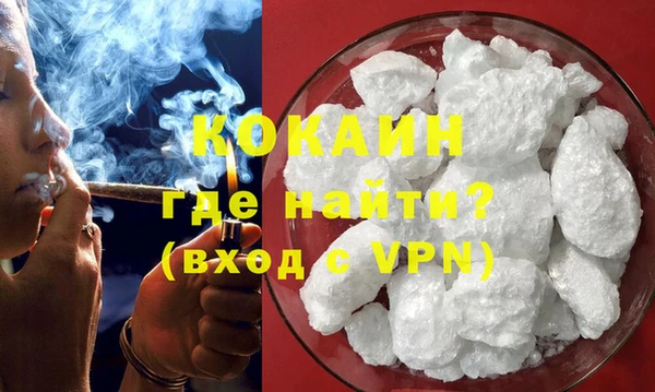 сатива Горняк
