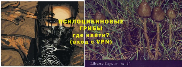 сатива Горняк