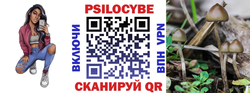 Псилоцибиновые грибы мицелий Купить Новокубанск